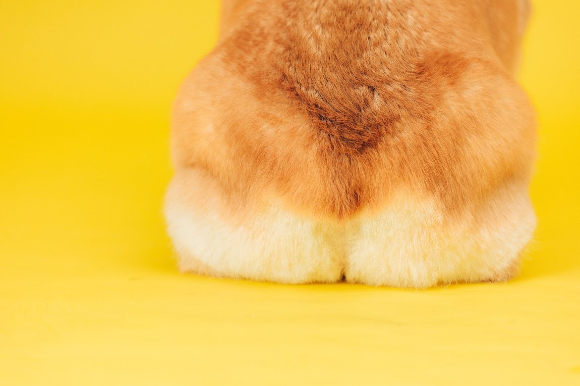 ふわふわのおて